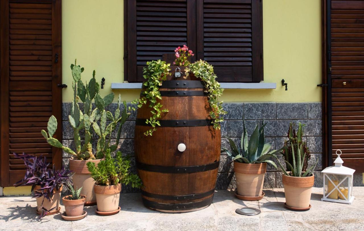 B&B La Corte Della Nonna Samarate 外观 照片