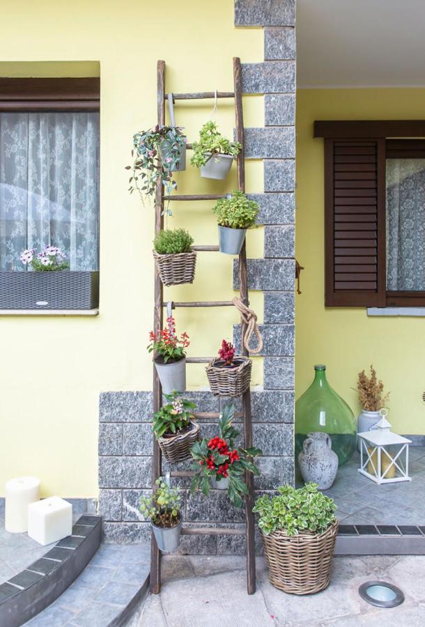 B&B La Corte Della Nonna Samarate 外观 照片